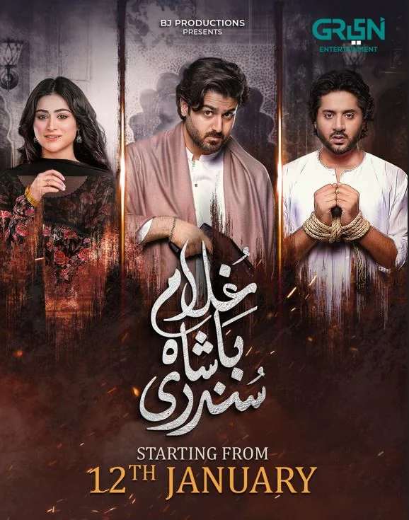 New Pakistani Dramas of 2026 January